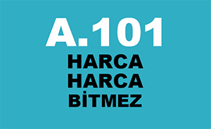 A101